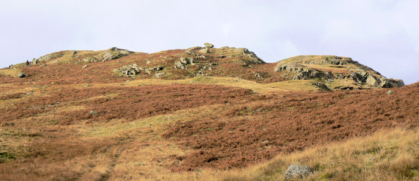 Brown Rigg Brown Rigg